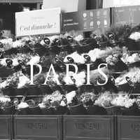 Free download Paris Monochrome video and edit with RedcoolMedia movie maker MovieStudio video editor online and AudioStudio audio editor onlin