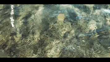 Free download Park Afternoons video and edit with RedcoolMedia movie maker MovieStudio video editor online and AudioStudio audio editor onlin