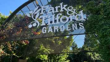 Free download Park  Tilford Gardens, July 2020 video and edit with RedcoolMedia movie maker MovieStudio video editor online and AudioStudio audio editor onlin