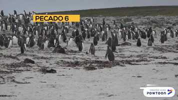 Free download Parte 2 - El lavado verde video and edit with RedcoolMedia movie maker MovieStudio video editor online and AudioStudio audio editor onlin