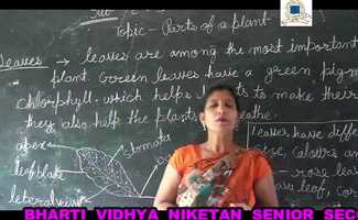 Free download PARTS OF PLANTS video and edit with RedcoolMedia movie maker MovieStudio video editor online and AudioStudio audio editor onlin