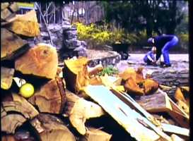 Free download Pascha (2017/2020) video and edit with RedcoolMedia movie maker MovieStudio video editor online and AudioStudio audio editor onlin