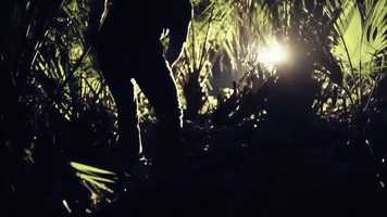 Free download Passafire - Longshot (official music video) video and edit with RedcoolMedia movie maker MovieStudio video editor online and AudioStudio audio editor onlin