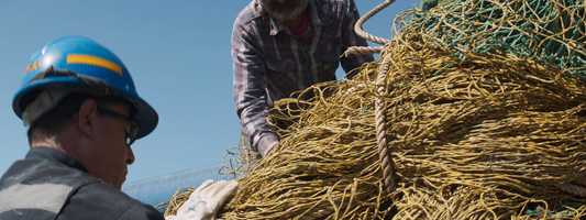 Free download Patagonia | A Net Plus (Full Film) video and edit with RedcoolMedia movie maker MovieStudio video editor online and AudioStudio audio editor onlin