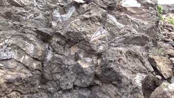 Free download Patagonia: Fossils near Puerto Guadal, Chile video and edit with RedcoolMedia movie maker MovieStudio video editor online and AudioStudio audio editor onlin