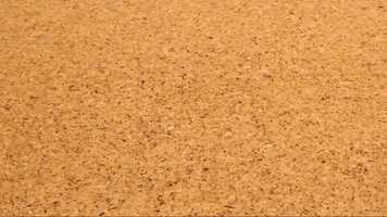 Free download Patapizza video and edit with RedcoolMedia movie maker MovieStudio video editor online and AudioStudio audio editor onlin