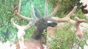 Free download Patreon Intro video and edit with RedcoolMedia movie maker MovieStudio video editor online and AudioStudio audio editor onlin