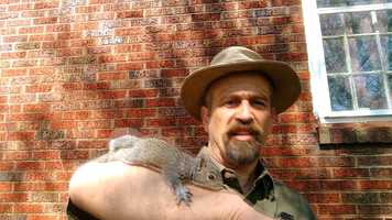 Free download Pat the Wildlife Guy Music Video by Tim Stafford video and edit with RedcoolMedia movie maker MovieStudio video editor online and AudioStudio audio editor onlin