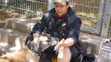 Free download PAULE: Marvin video and edit with RedcoolMedia movie maker MovieStudio video editor online and AudioStudio audio editor onlin