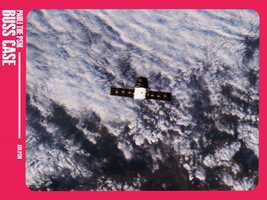 Free download Pauli the PSM - Buss Case video and edit with RedcoolMedia movie maker MovieStudio video editor online and AudioStudio audio editor onlin