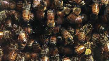 Free download PAURA (Versione 3 min) video and edit with RedcoolMedia movie maker MovieStudio video editor online and AudioStudio audio editor onlin