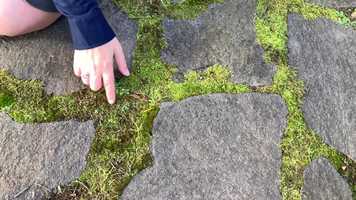 Free download Paver Path video and edit with RedcoolMedia movie maker MovieStudio video editor online and AudioStudio audio editor onlin