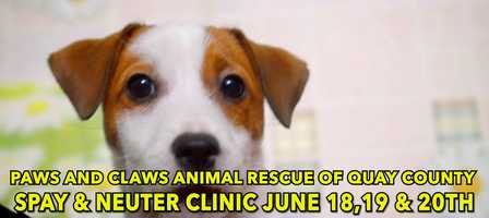 Free download Paws and Claws Animal Rescue, Quay County   2020-02-02   Tucumcari, NM video and edit with RedcoolMedia movie maker MovieStudio video editor online and AudioStudio audio editor onlin