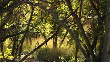 Free download Payson Canyon. Highlight film video and edit with RedcoolMedia movie maker MovieStudio video editor online and AudioStudio audio editor onlin