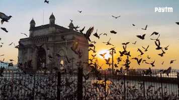 Free download PAYTM - GANESH CHATURTHI  2021 video and edit with RedcoolMedia movie maker MovieStudio video editor online and AudioStudio audio editor onlin