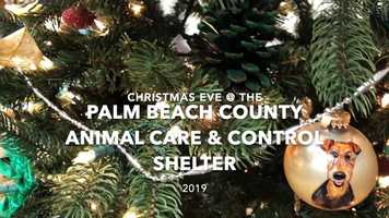 Free download PBC ACC 2019 Final video and edit with RedcoolMedia movie maker MovieStudio video editor online and AudioStudio audio editor onlin