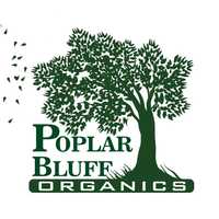 Free download PBO Logo Animation video and edit with RedcoolMedia movie maker MovieStudio video editor online and AudioStudio audio editor onlin