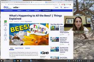 Free download PBS Learning Media video and edit with RedcoolMedia movie maker MovieStudio video editor online and AudioStudio audio editor onlin