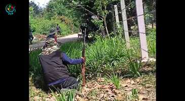 Free download PDF Demoso film fighting video and edit with RedcoolMedia movie maker MovieStudio video editor online and AudioStudio audio editor onlin