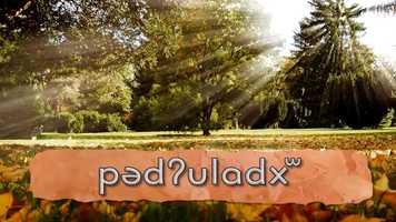 Free download pədʔuladxʷ - Fall video and edit with RedcoolMedia movie maker MovieStudio video editor online and AudioStudio audio editor onlin