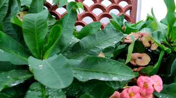 Free download #Peacefull Relaxing Music video and edit with RedcoolMedia movie maker MovieStudio video editor online and AudioStudio audio editor onlin