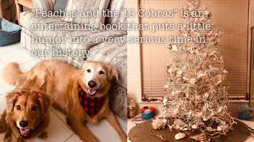 Free download Peaches and the 19 Cobras by Paula Bailey video and edit with RedcoolMedia movie maker MovieStudio video editor online and AudioStudio audio editor onlin