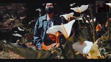 Free download Peaches (Feat Nadia) -Visuals Only for Copyright Puporses. video and edit with RedcoolMedia movie maker MovieStudio video editor online and AudioStudio audio editor onlin