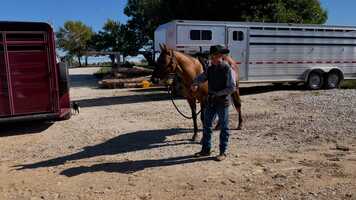 Free download Pearl Trailer video and edit with RedcoolMedia movie maker MovieStudio video editor online and AudioStudio audio editor onlin