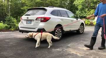 Free download Pearl  - Vehicle Exercise video and edit with RedcoolMedia movie maker MovieStudio video editor online and AudioStudio audio editor onlin