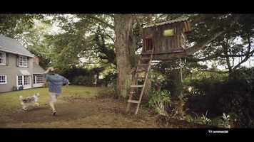 Free download Pedigree Child Replacement Programme Case Movie video and edit with RedcoolMedia movie maker MovieStudio video editor online and AudioStudio audio editor onlin