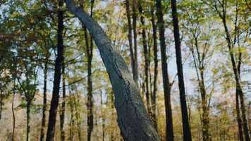 Free download Pennsylvania College of Technology - Campaign video and edit with RedcoolMedia movie maker MovieStudio video editor online and AudioStudio audio editor onlin