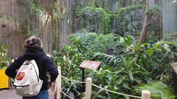 Free download Penny goes to the science centre video and edit with RedcoolMedia movie maker MovieStudio video editor online and AudioStudio audio editor onlin