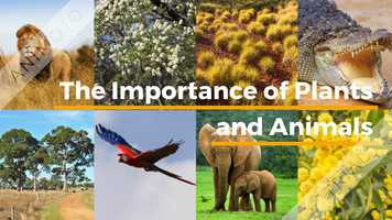 Free download Performance Task in Science video and edit with RedcoolMedia movie maker MovieStudio video editor online and AudioStudio audio editor onlin