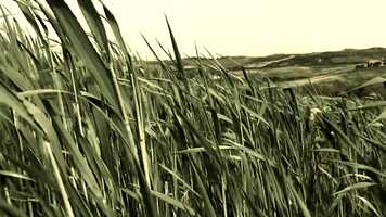 Free download Perpetual Bridge - Hidden Rivers video and edit with RedcoolMedia movie maker MovieStudio video editor online and AudioStudio audio editor onlin