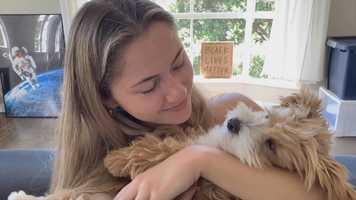 Free download Pet Adoptions in Quarantine video and edit with RedcoolMedia movie maker MovieStudio video editor online and AudioStudio audio editor onlin