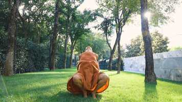 Free download Petit Performance - July 10, 2020 video and edit with RedcoolMedia movie maker MovieStudio video editor online and AudioStudio audio editor onlin