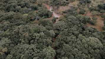 Free download PH Farmhouse Short Film_Hudson+Meadow.mp4 video and edit with RedcoolMedia movie maker MovieStudio video editor online and AudioStudio audio editor onlin