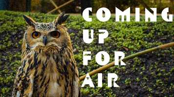 Free download Philip Selway - Coming Up For Air (Nov 2019) video and edit with RedcoolMedia movie maker MovieStudio video editor online and AudioStudio audio editor onlin