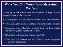 Free download Phil Lovin Believes In the Right of Animals to Live Without the Fear of Exploitation, Abuse, or Extermination video and edit with RedcoolMedia movie maker MovieStudio video editor online and AudioStudio audio editor onlin