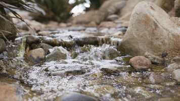 Free download Phoebe  Carlos Wedding Trailer video and edit with RedcoolMedia movie maker MovieStudio video editor online and AudioStudio audio editor onlin