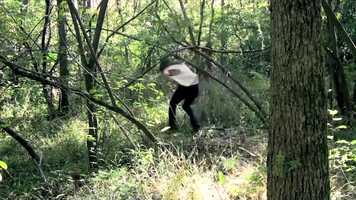 Free download Photography and Filmmaking video and edit with RedcoolMedia movie maker MovieStudio video editor online and AudioStudio audio editor onlin