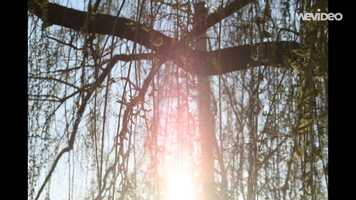 Free download Photography Music Video Final.mp4 video and edit with RedcoolMedia movie maker MovieStudio video editor online and AudioStudio audio editor onlin