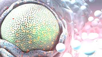 Free download Phototherapy Science video and edit with RedcoolMedia movie maker MovieStudio video editor online and AudioStudio audio editor onlin