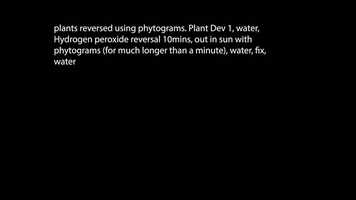 Free download Phytograms and Reversal.mov video and edit with RedcoolMedia movie maker MovieStudio video editor online and AudioStudio audio editor onlin
