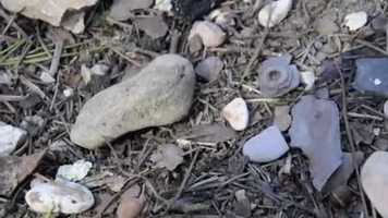 Free download piccola me... video and edit with RedcoolMedia movie maker MovieStudio video editor online and AudioStudio audio editor onlin