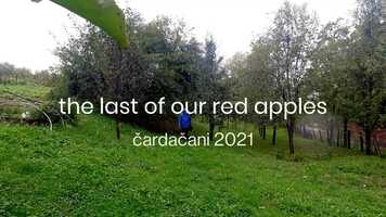 Free download Picking the Last of our Red Apples - Crvene Jabuke video and edit with RedcoolMedia movie maker MovieStudio video editor online and AudioStudio audio editor onlin