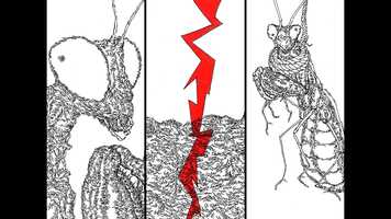 Free download Pick Your Rise 12.0 video and edit with RedcoolMedia movie maker MovieStudio video editor online and AudioStudio audio editor onlin