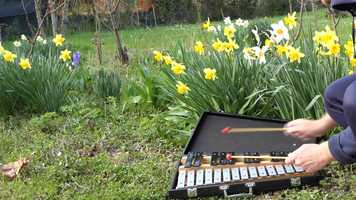 Free download Pigmento Music - The Quarantine Day pt II video and edit with RedcoolMedia movie maker MovieStudio video editor online and AudioStudio audio editor onlin