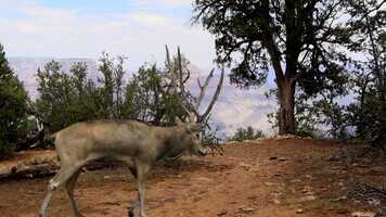 Free download Pillar of Fire - Trailer video and edit with RedcoolMedia movie maker MovieStudio video editor online and AudioStudio audio editor onlin