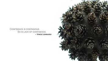 Free download Pine Cones | After Effects Project Files - Videohive template video and edit with RedcoolMedia movie maker MovieStudio video editor online and AudioStudio audio editor onlin